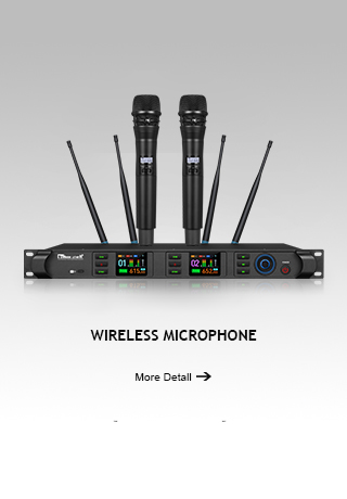 Wireless Microphone System
